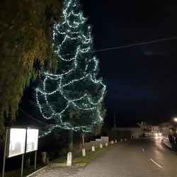 Rozsvícení vánočního stromu - Rybníček